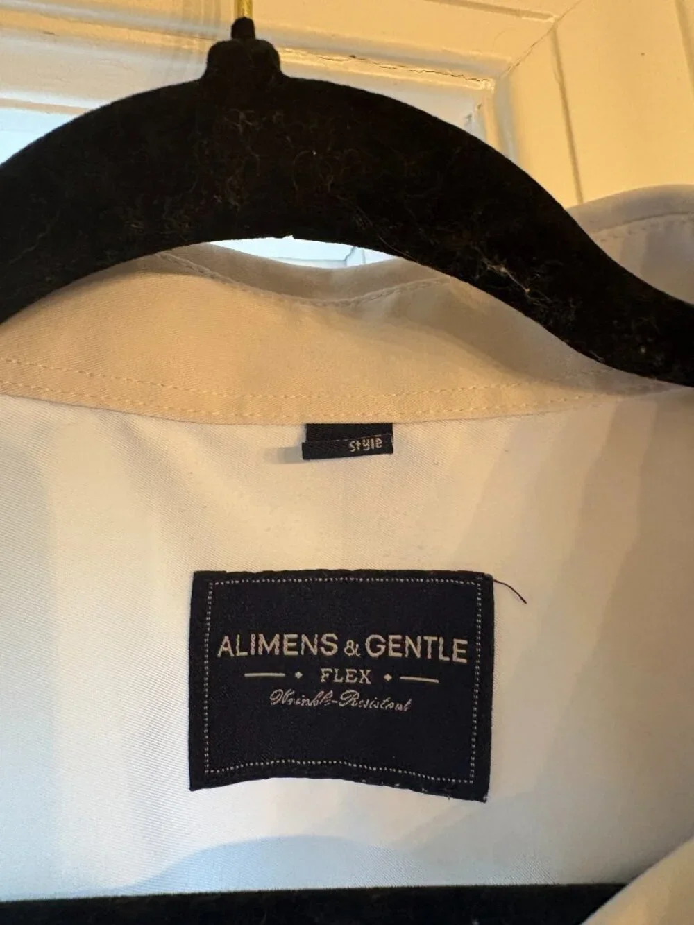 Alimens & Gentle Flex Wrinkle-Resistant Contrast Trim Dress Shirt